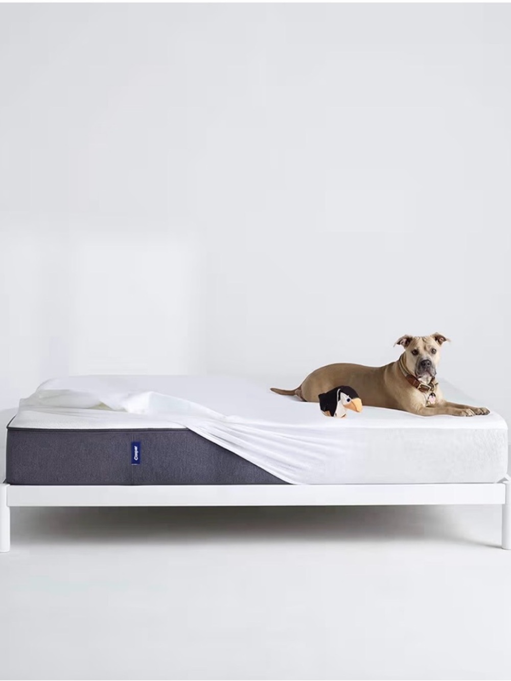 NEW Casper Sleep Waterproof Mattress Protector – King 🤍🛏️